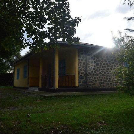 Chef Wondim Backpackers Hostel Gondar Exterior foto